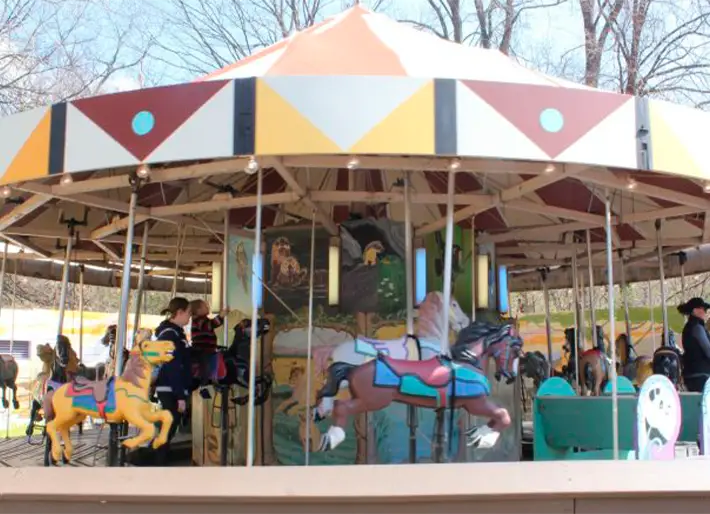 The Carousel
