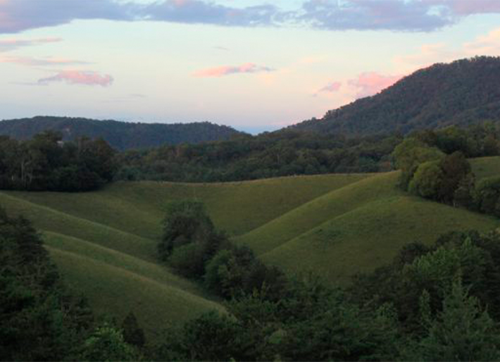 An Evening at Berry Springs Lodge
