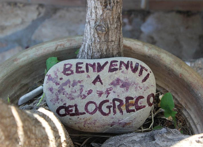 I Miss the Farm Already